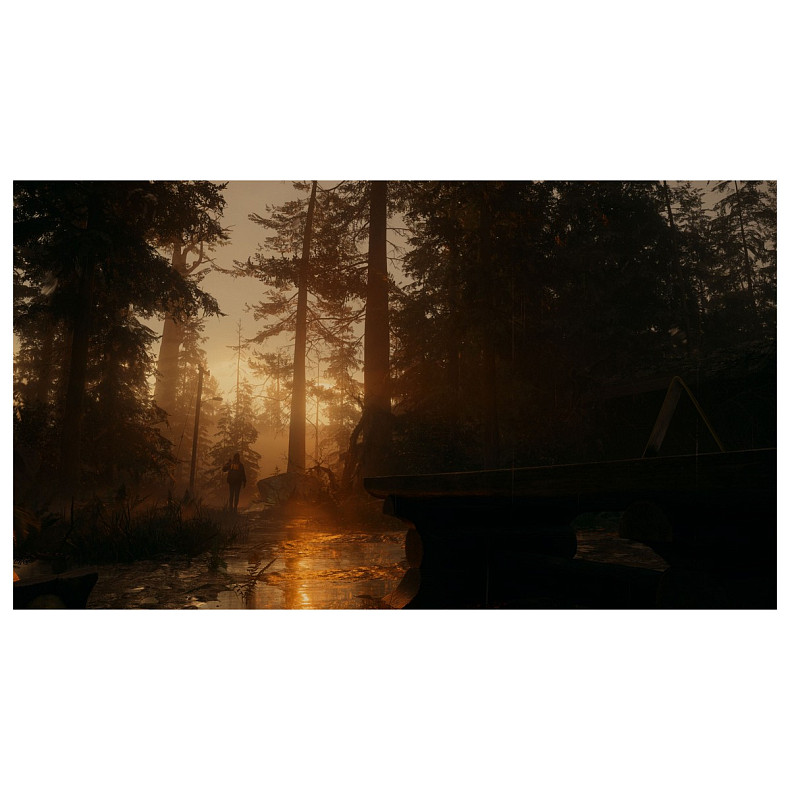 Игра консольная PS5 Alan Wake 2 Deluxe Edition