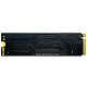 SSD диск Atria M.2 256GB X500S NVMe PCIe 3.0 NVMe ATNVMX500S/256