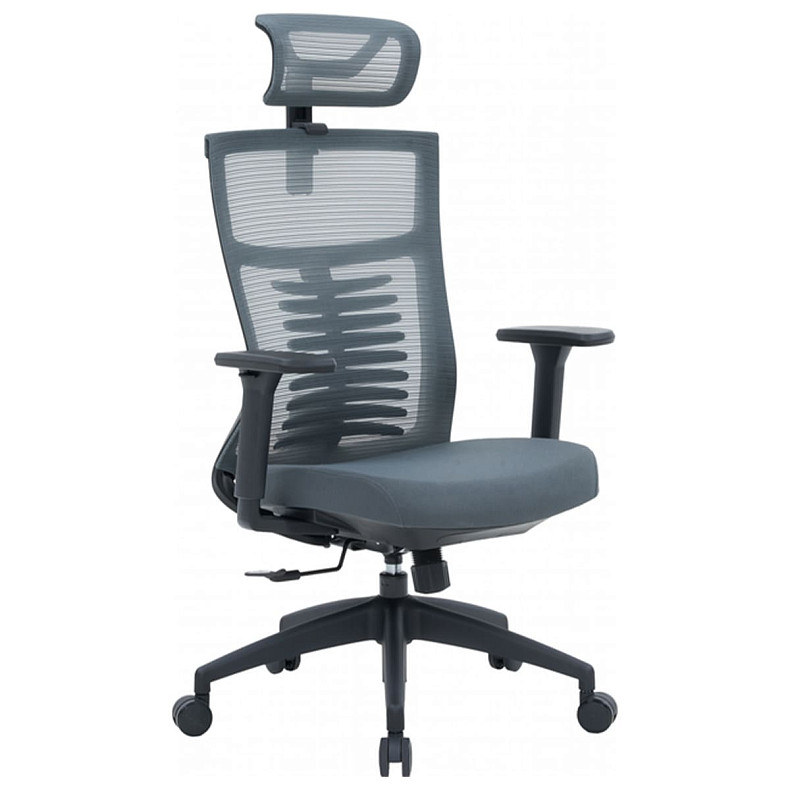 Крісло офісне OfficePro Balance OC550-B-DG-DG