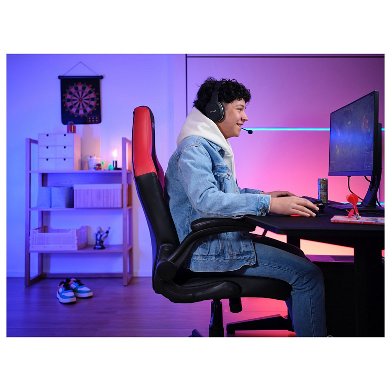 Крісло ігрове Trust GXT703 RIYE Black