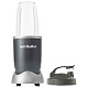 Персональний блендер Nutribullet NB 614DG