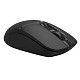 Мышь A4Tech FB12S Black