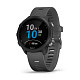 Спортивные часы GARMIN Forerunner 245 Black/Gray