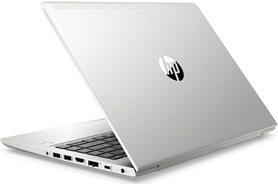 Ноутбук HP PROBOOK 445 G7 (175W3EA)