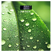 Весы напольные BROCK BS 003