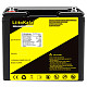 Аккумуляторная батарея LiitoKala LiFePO4 12V60Ah