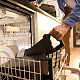 Мультипечь Braun TD 5073 IBK