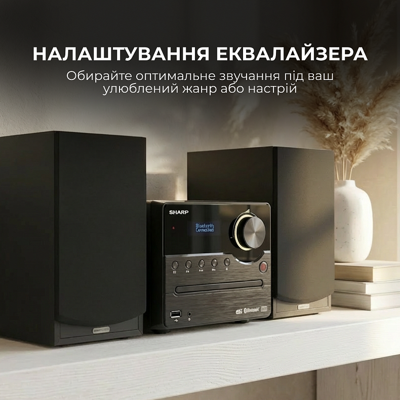 Музыкальный центр Sharp XL-B517D(BK) Black