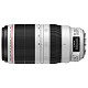 Объектив Canon EF 100-400mm f/4.5-5.6L IS II USM