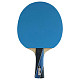 Ракетка для настольного тенниса Gewo PS Blast Carbon Pro FL (1073900001)