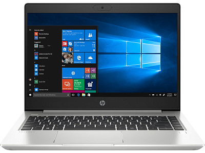 Ноутбук HP PROBOOK 445 G7 (1F3L1EA)