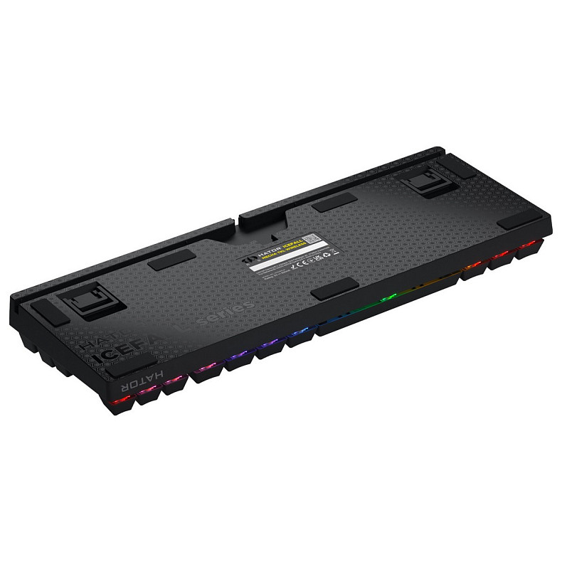 Клавиатура Hator Icefall Mecha TKL Wireless Rainbow Black (HTK287UA)