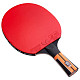 Ракетка для настільного тенісу Butterfly Timo Boll Comfort FL (6110170005)