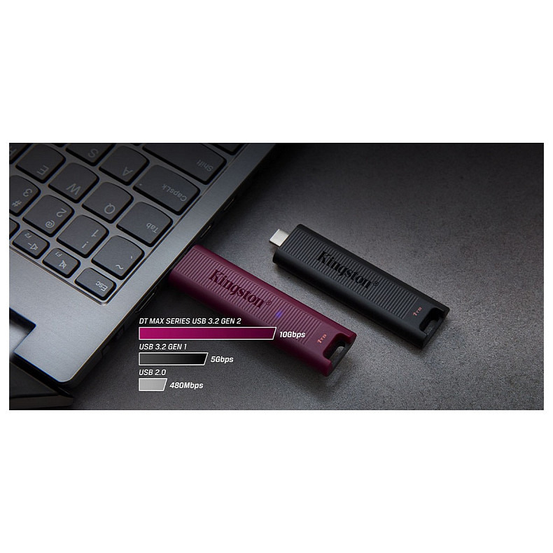 Накопичувач Kingston 256GB USB 3.2 Type-A Gen 2 DT Max