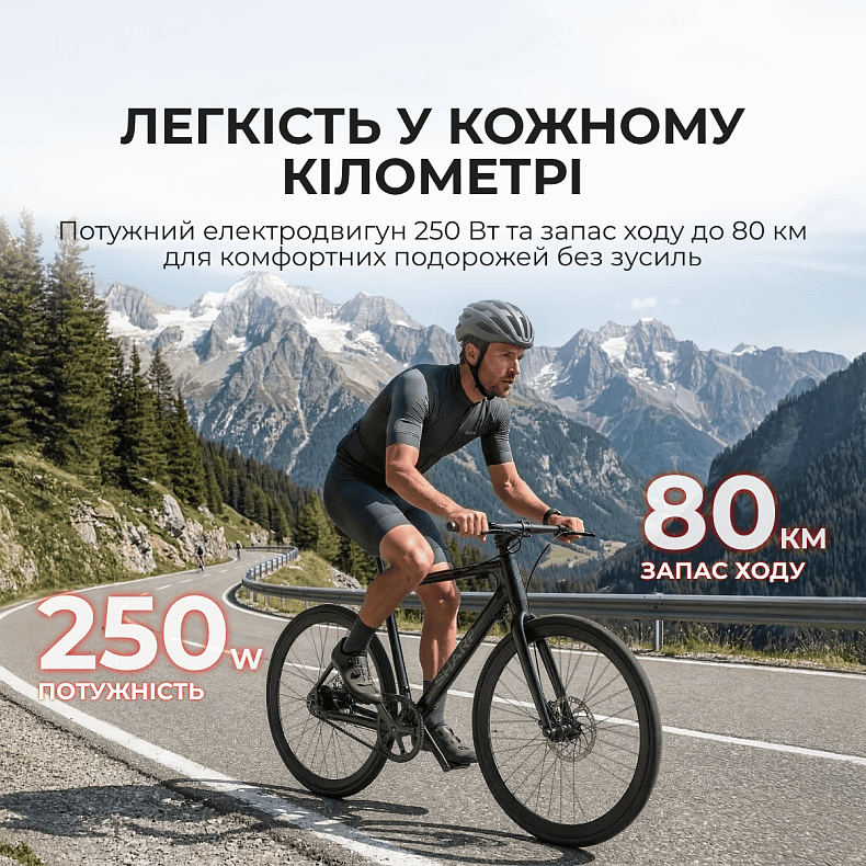 Електровелосипед Sharp 21" Black Matt (BK-RS08E-B)