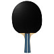 Ракетка для настольного тенниса Joola Team Premium (52002)