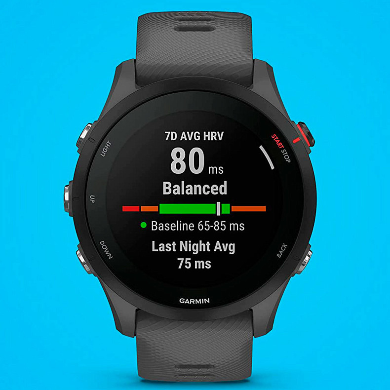 Спортивний годинник Garmin Forerunner 255 Slate