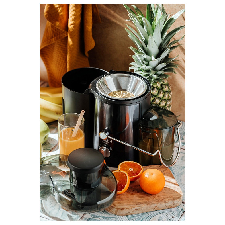 Соковыжималка Adler AD 4132 dark