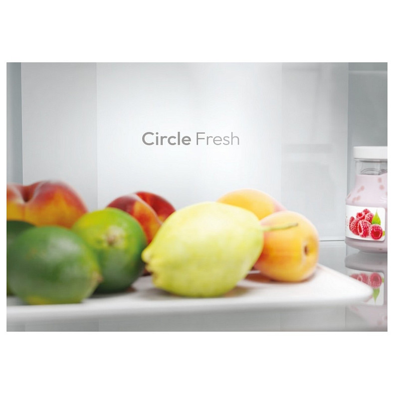 Холодильник Candy ECN2CQTEB186