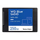 SSD диск WD Blue SA510 250 GB (WDS250G3B0A)