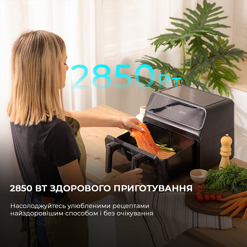 Мультипіч CECOTEC Cecofry Advance 9000 Window