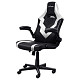 Кресло для геймеров Trust GXT703W RIYE White
