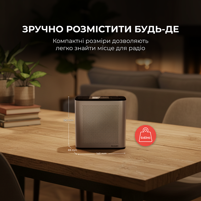 Радіоприймач Sharp DR-P530 Grey