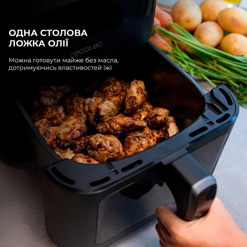 Мультипечь (аэрогриль-фритюрница) CECOTEC Cecofry Experience Window 6000