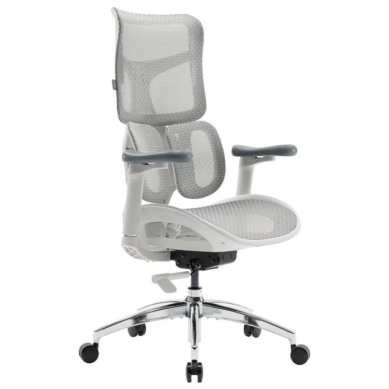 Крісло офісне Sihoo DORO S100 Mesh White