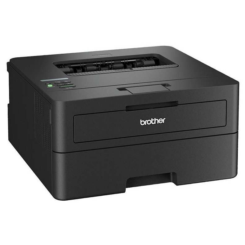 Принтер Brother HL-L2460DN