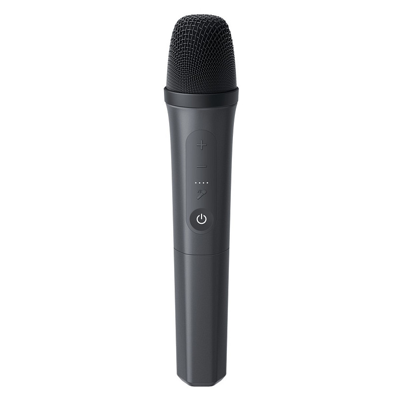 Портативная акустика ANKER SoundCore Rave 3S Black