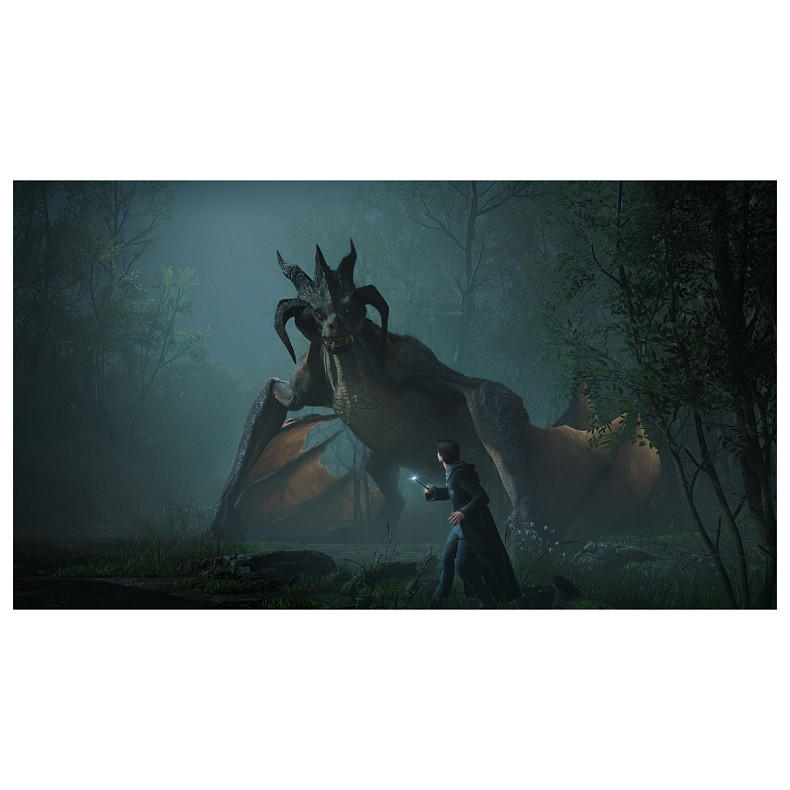 Игра консольная PS5 Hogwarts Legacy