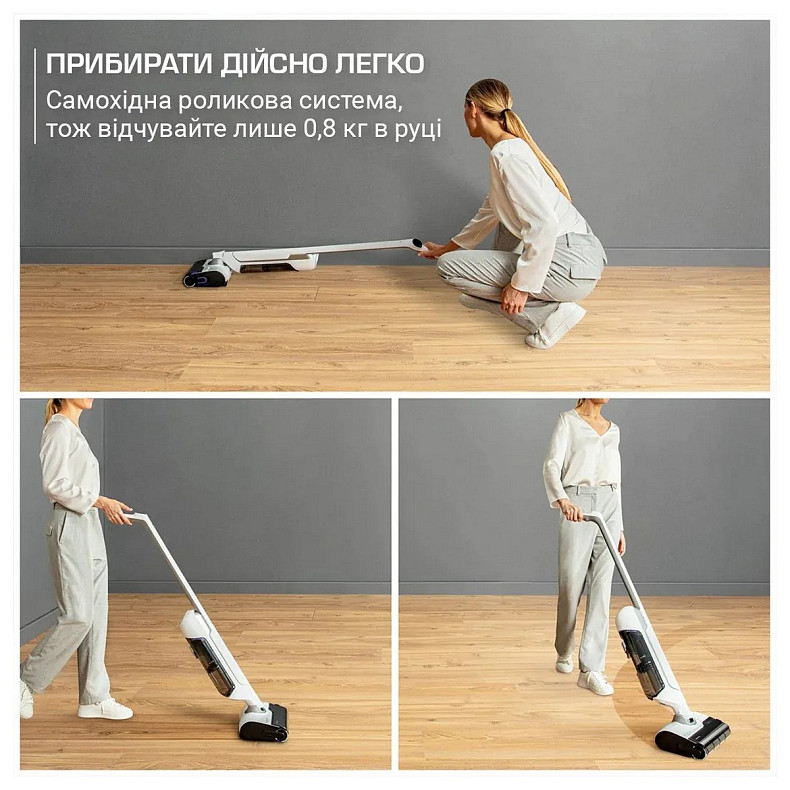 Аккумуляторный пылесос Rowenta GZ7035WO