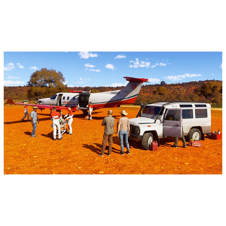 Игра консольная PS5 Microsoft Flight Simulator 2024