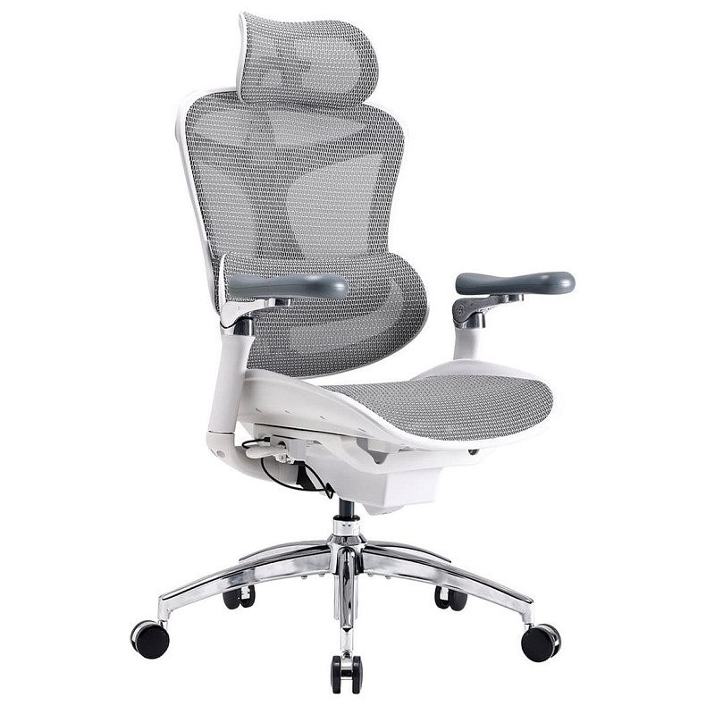 Крісло офісне Sihoo DORO C300 Pro Mesh White