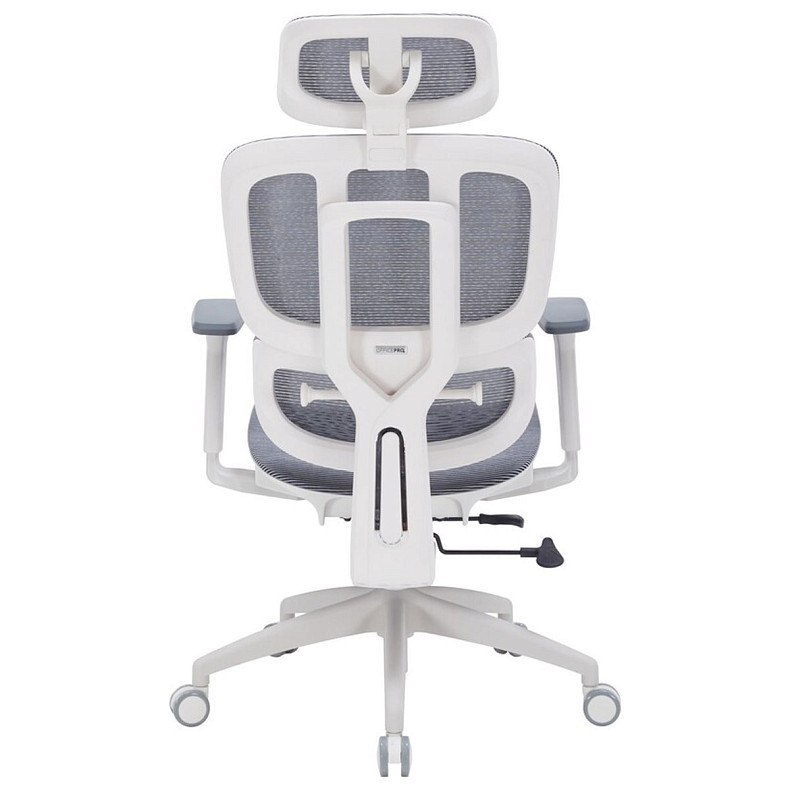 Крісло офісне OfficePro Skyline OC680-W-DG-DG
