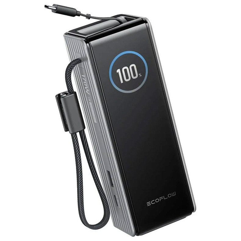 Павербанк EcoFlow RAPID Power Bank с кабелями 25000mAh серебристый