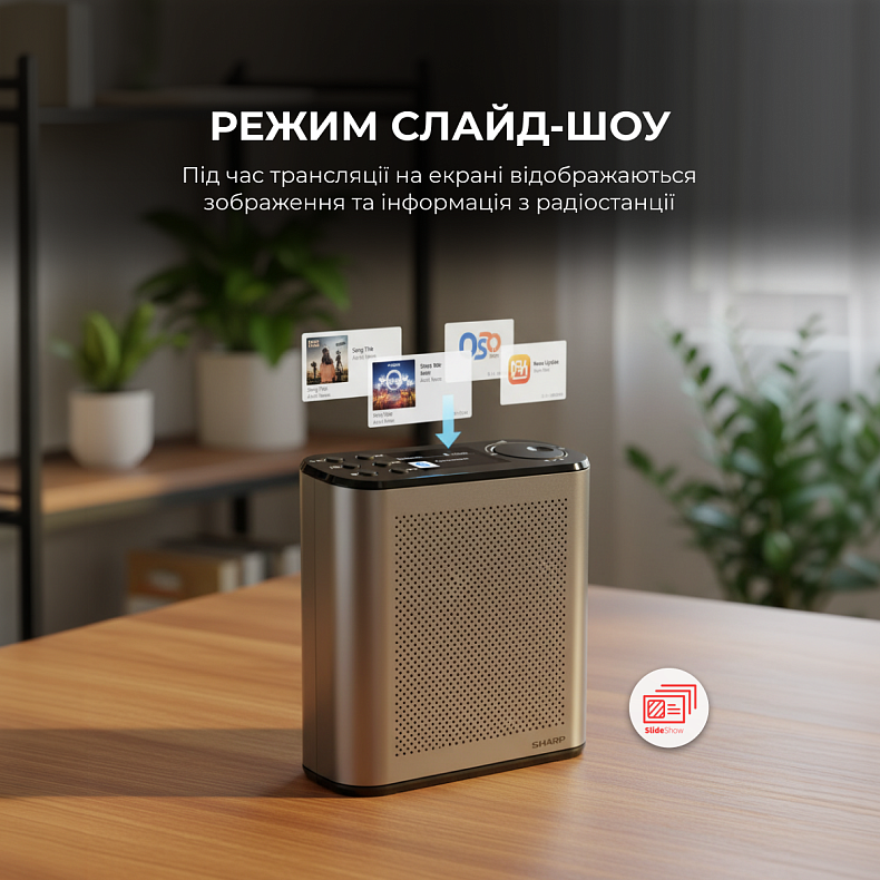 Радіоприймач Sharp DR-P530 Grey