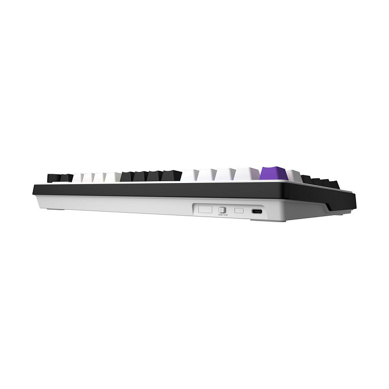 Клавиатура Hator Hellyberry HK75 White/Violet