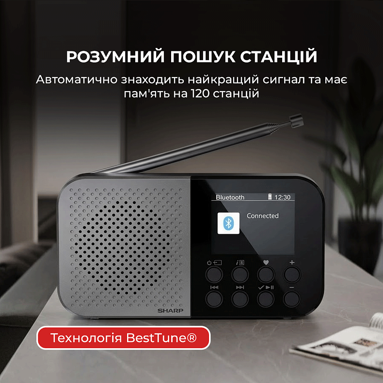 Радіоприймач Sharp DR-P520 Storm Grey
