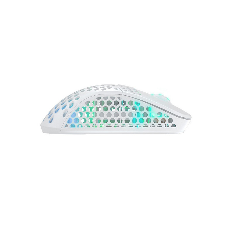 Мышь Xtrfy M4, WL/USB-A, RGB, белый