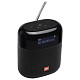Акустика JBL Tuner 2 FM Black (JBLTUNERXLBLKEUNA)