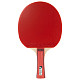Ракетка для настільного тенісу Joola Team Junior (52004)