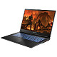 Ноутбук Dream Machines IPS 17.3FHD, Intel i7-13620H, 32GB, F1TB, черный (RG4060-17UA23)