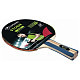 Ракетка для настольного тенниса Garlando Storm 2+ Stars (2C4-1114)