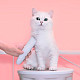 Машинка для стрижки животных Xiaomi Mijia Pawbby Pet Shaver