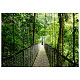 Ноутбук HP Probook 4-G1a 16" WUXGA IPS, AMD R7-250, 16GB, F512GB, UMA, Win11P, сріблястий