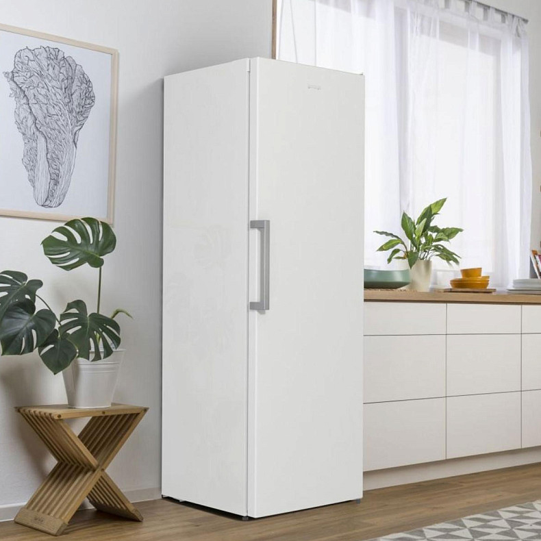 Холодильна камера Gorenje R 619 EEW5