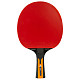 Ракетка для настольного тенниса Joola Carbon Control (54190)