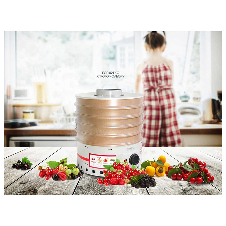 Сушарка ProfitM ЕСП-02 ЕКО сіра